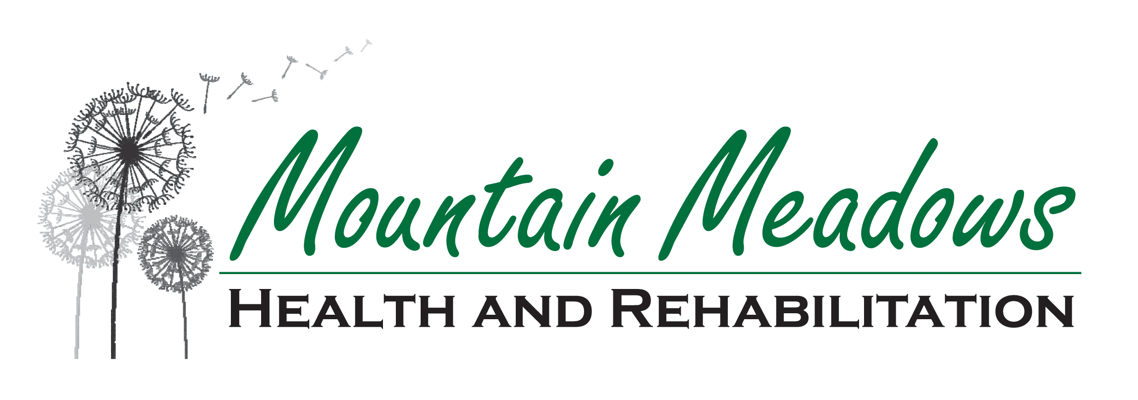 Mountain Meadows Health and Rehabilitation